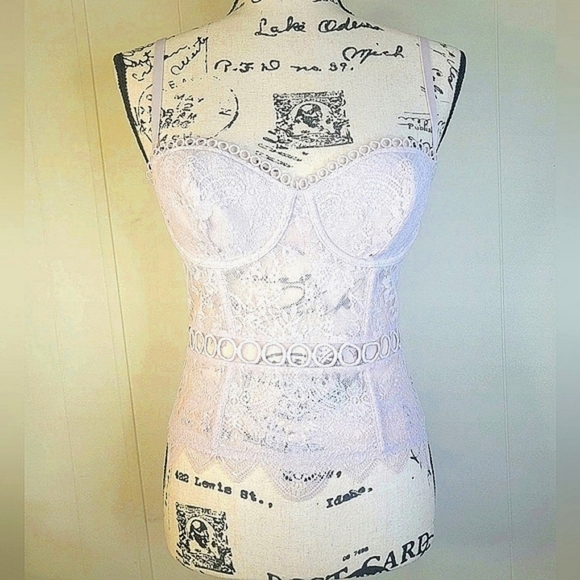 Victoria's Secret Longline Pink Sparkle Bustier Corset Lace Mesh - Picture 2 of 15